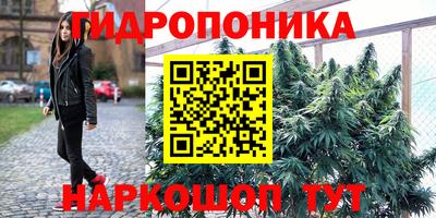 СК Заволжье