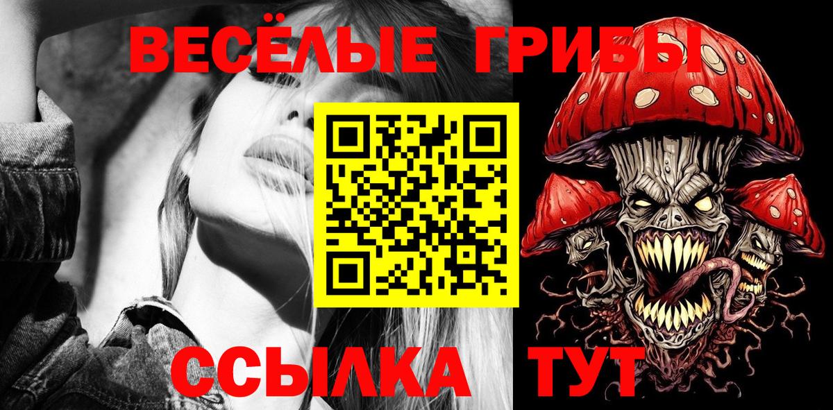 Галлюциногенные грибы Psilocybine cubensis Михайловск