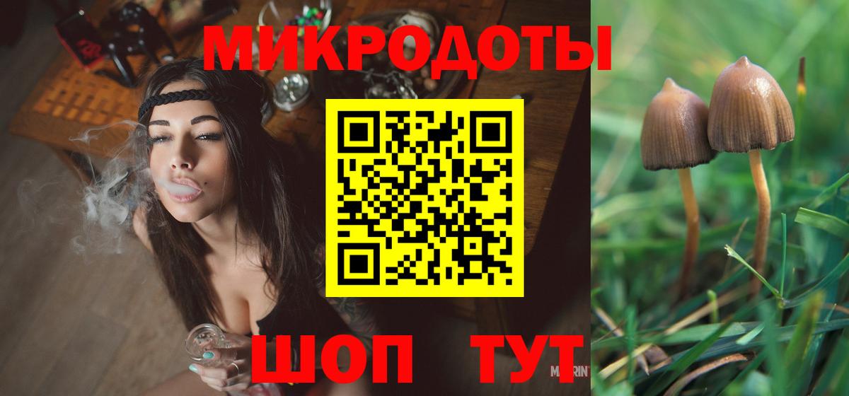 Галлюциногенные грибы мухоморы  Вход с VPN  Михайловск  Галлюциногенные грибы мицелий 