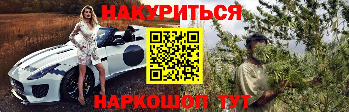 Бошки марихуана сатива Михайловск